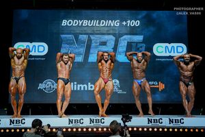 BODYBUILDING +100